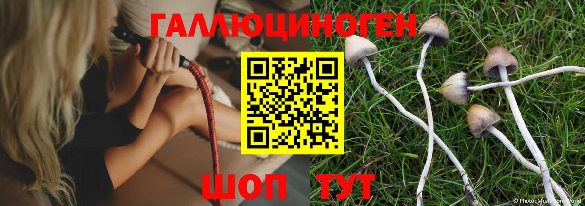 Галлюциногенные грибы Psilocybe  Вход с VPN  купить наркотик  Качканар 
